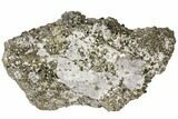 Giant, Cubic Pyrite Crystal Cluster From Peru - + Lbs #133018-1